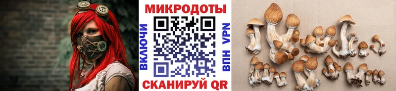 Псилоцибиновые грибы GOLDEN TEACHER  Межгорье 